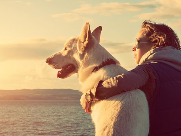 A woman enjoying a sunset at the beach with her large white dog
