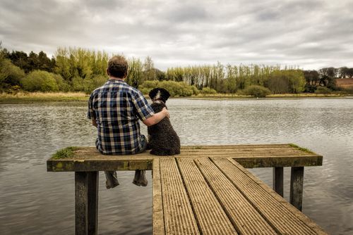 A man and his dog are enjoying looking out at a lake together while sitting on a boardwalk